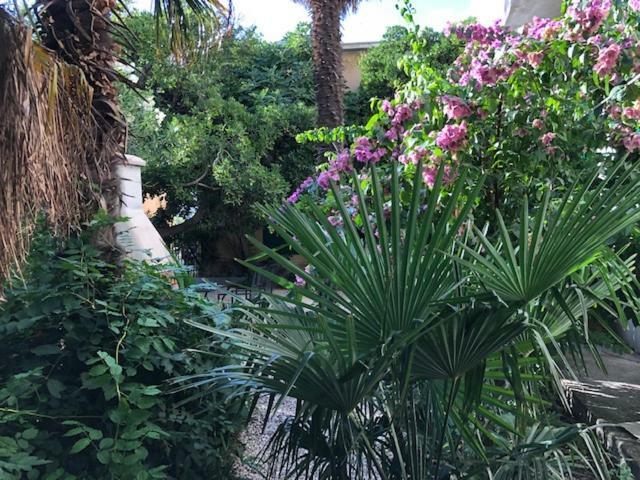 Apartment Sabina Omis